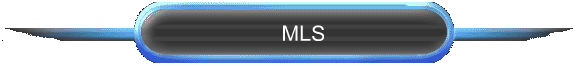  MLS